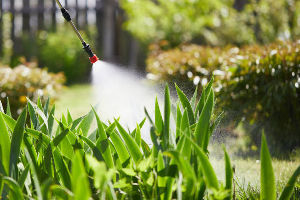 24/7 Emergency Ant Control experts in Luther, OK