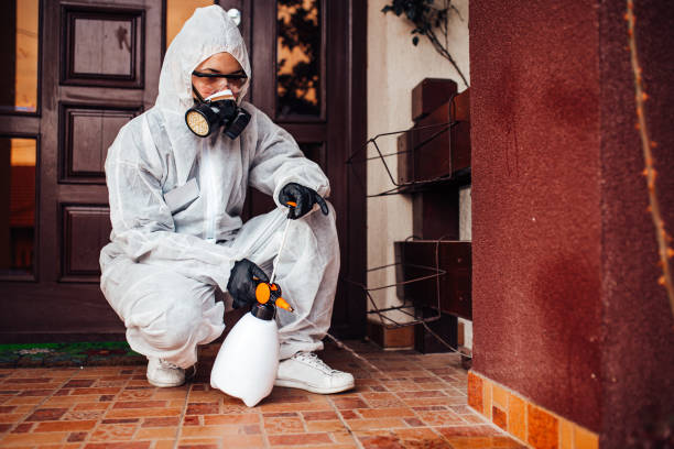 Reliable Ant Control contractor in Luther, OK by Nex Pest Control