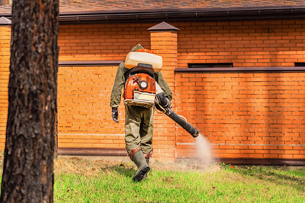 Trusted Ant Control service in Luther, OK - Nex Pest Control